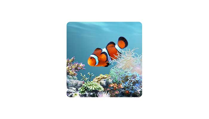 SereneScreen Marine Aquarium